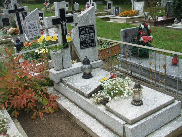 Mirosław Ciechanowicz 1954 Krosno Odrzańskie - Grobonet - Wyszukiwarka osób pochowanych