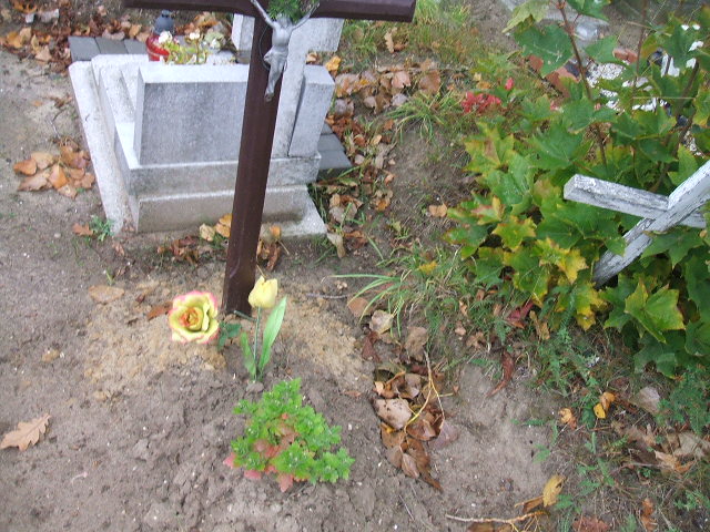  NN Krosno Odrzańskie - Grobonet - Wyszukiwarka osób pochowanych