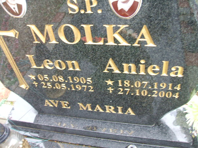 Leon Molka 1905 Krosno Odrzańskie - Grobonet - Wyszukiwarka osób pochowanych