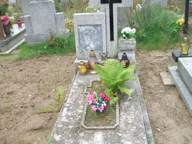 Józefa Triska 1915 Krosno Odrzańskie - Grobonet - Wyszukiwarka osób pochowanych