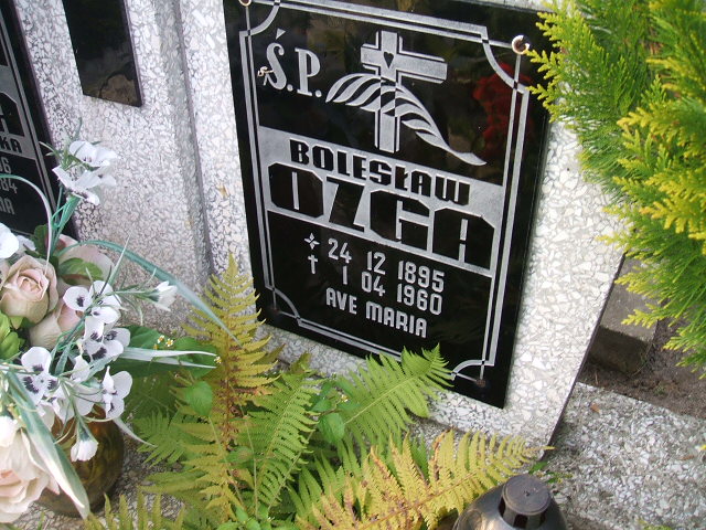 Bolesław Ozga 1895 Krosno Odrzańskie - Grobonet - Wyszukiwarka osób pochowanych