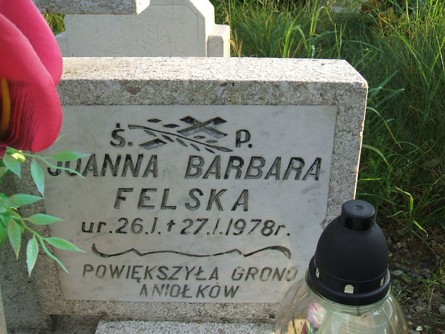 Joanna Barbara Felska 1978 Krosno Odrzańskie - Grobonet - Wyszukiwarka osób pochowanych