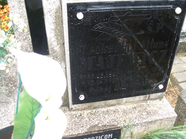 Leokadia Majewicz 1913 Krosno Odrzańskie - Grobonet - Wyszukiwarka osób pochowanych