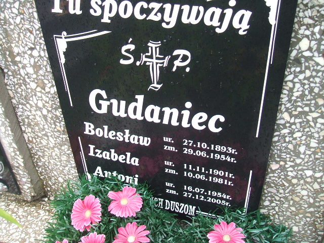 Antoni Gudaniec 1954 Krosno Odrzańskie - Grobonet - Wyszukiwarka osób pochowanych