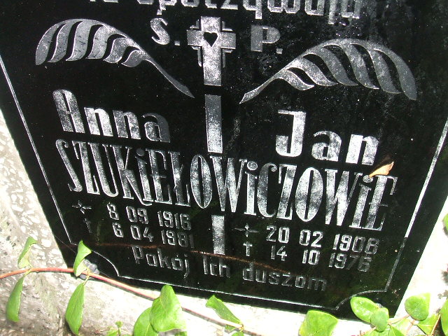 Maria Druszcz 1945 Krosno Odrzańskie - Grobonet - Wyszukiwarka osób pochowanych