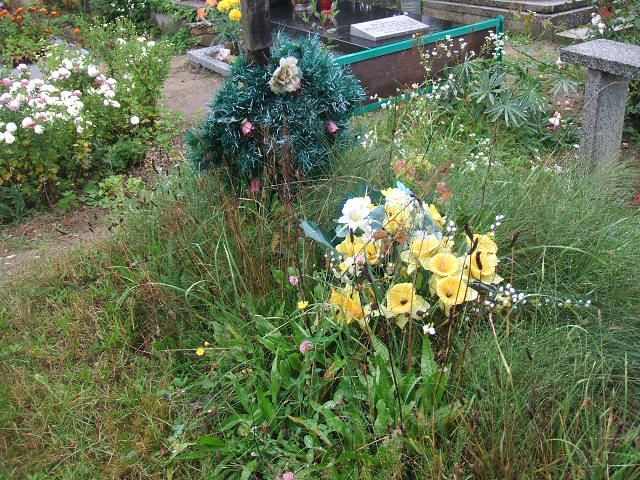  NN Krosno Odrzańskie - Grobonet - Wyszukiwarka osób pochowanych