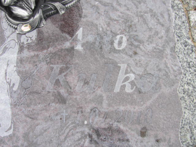 Antoni Kulka Krosno Odrzańskie - Grobonet - Wyszukiwarka osób pochowanych