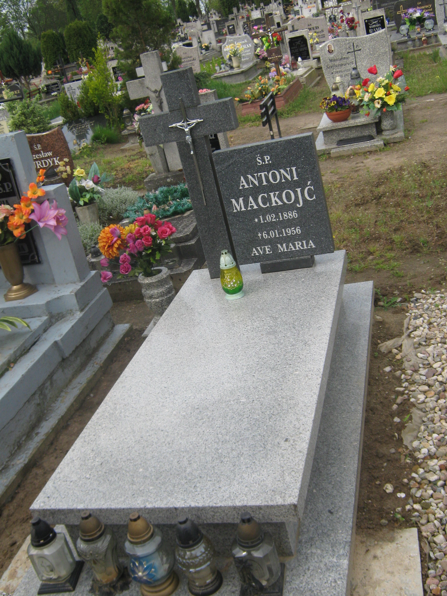 Antoni Mackojć 1886 Krosno Odrzańskie - Grobonet - Wyszukiwarka osób pochowanych