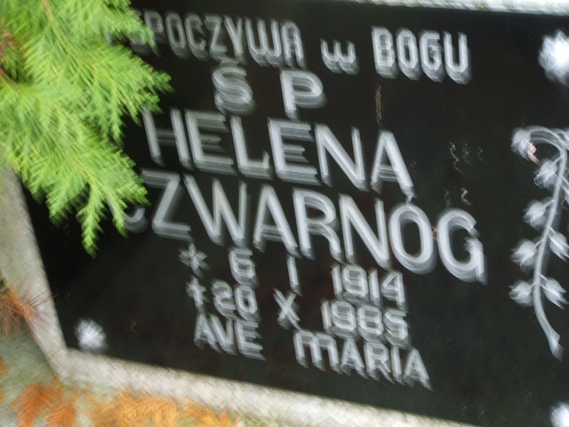 Helena Czwarnóg 1914 Krosno Odrzańskie - Grobonet - Wyszukiwarka osób pochowanych