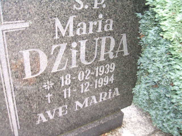 Kazimierz Dziura 1938 Krosno Odrzańskie - Grobonet - Wyszukiwarka osób pochowanych