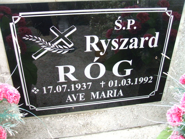 Walentyna Róg 1948 Krosno Odrzańskie - Grobonet - Wyszukiwarka osób pochowanych