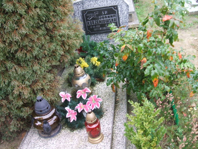  - Grobonet - kup kwiaty