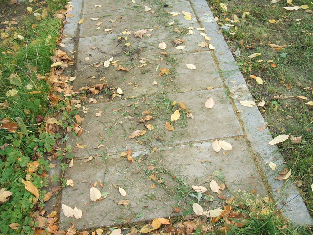 Wiktoria Kierul 1907 Krosno Odrzańskie - Grobonet - Wyszukiwarka osób pochowanych