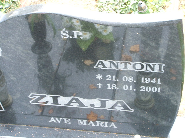 Antoni Ziaja 1941 Krosno Odrzańskie - Grobonet - Wyszukiwarka osób pochowanych