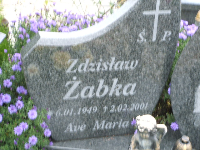 Zdzisław Żabka 1949 Krosno Odrzańskie - Grobonet - Wyszukiwarka osób pochowanych