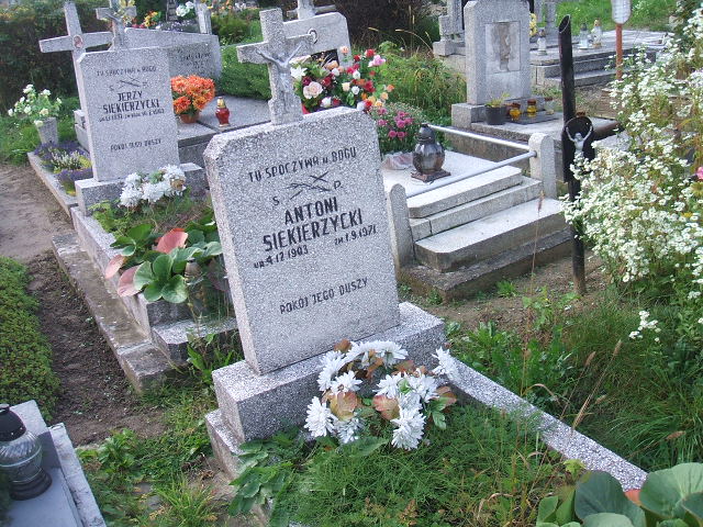 Grób Henryka Siekierzycka