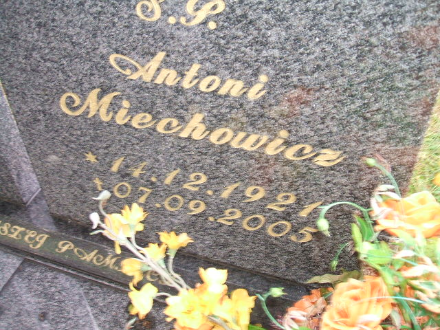 Grób Jadwiga Miechowicz