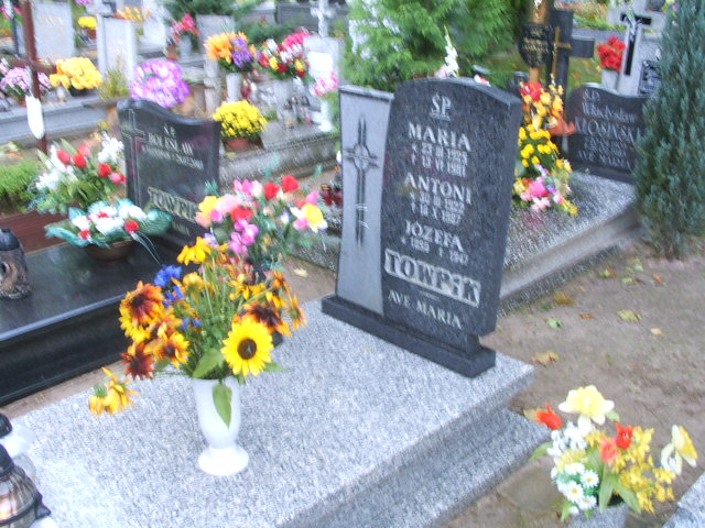 Grób Antoni Towpik