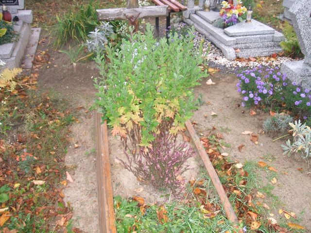 Grób Ryszard Świnto