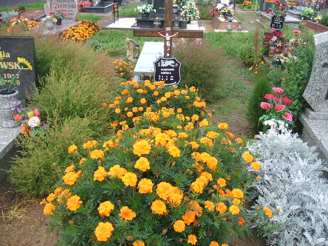 Grób Marianna Osińska