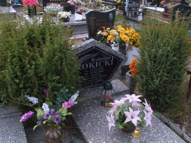 Grób Walerian Rokicki